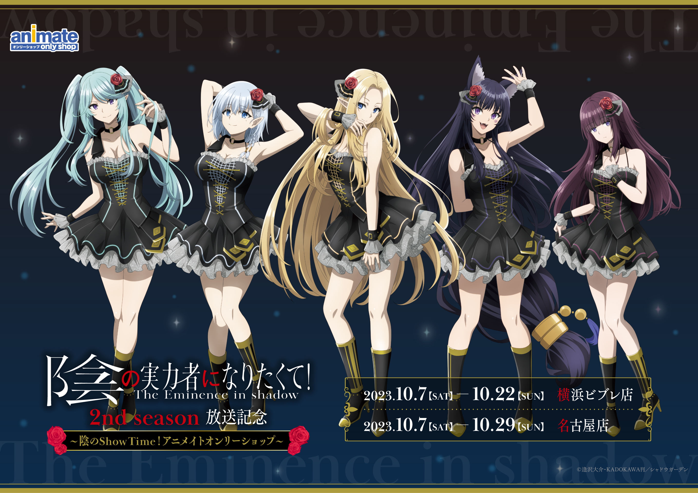 kage no jitsuryokusha ni naritakute! alpha (kage no jitsuryokusha ni naritakute!) beta (kage no